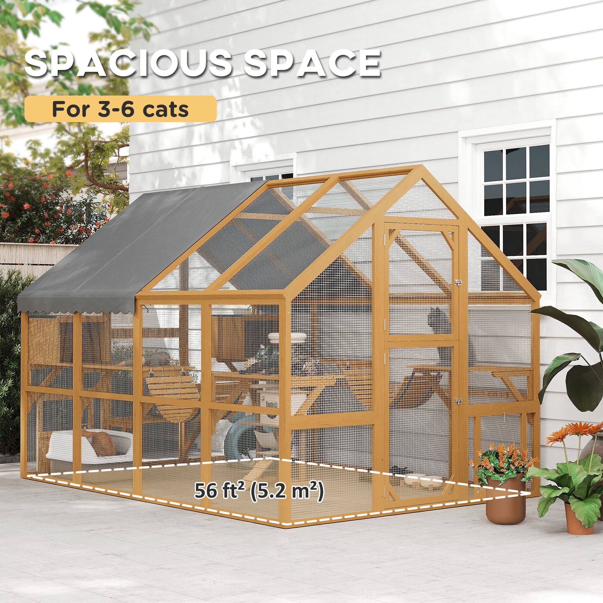 SPACIOUS SPACE  
For 3-6 cats  
56 ft² (5.2 m²)