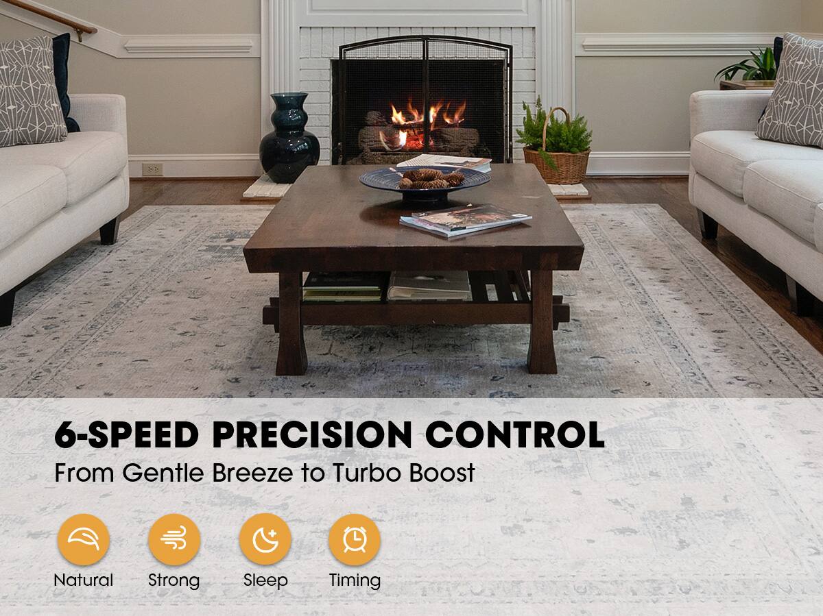 6-SPEED PRECISION CONTROL  
From Gentle Breeze to Turbo Boost  

Natural  
Strong  
Sleep  
Timing