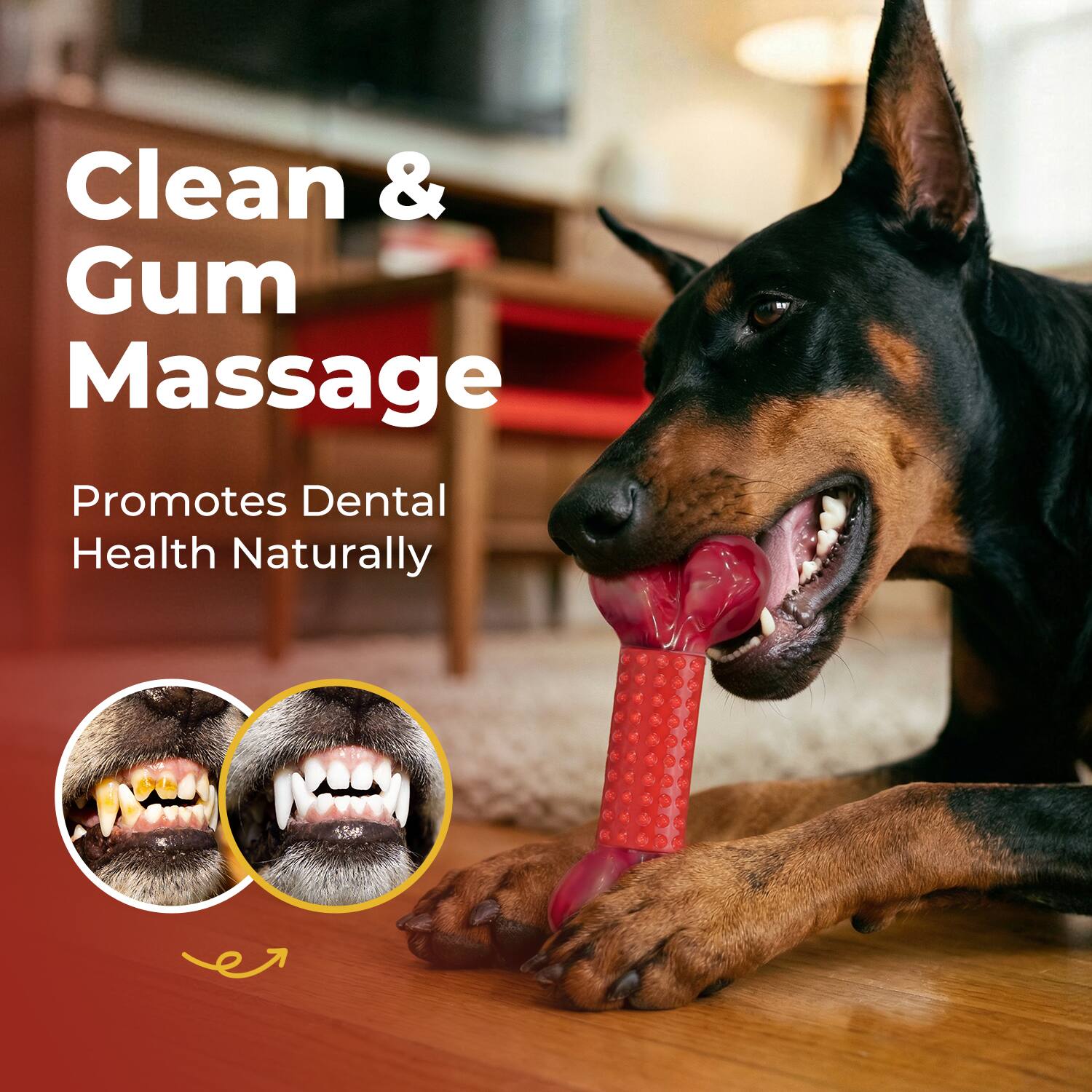 Clean & Gum Massage  
Promotes Dental Health Naturally