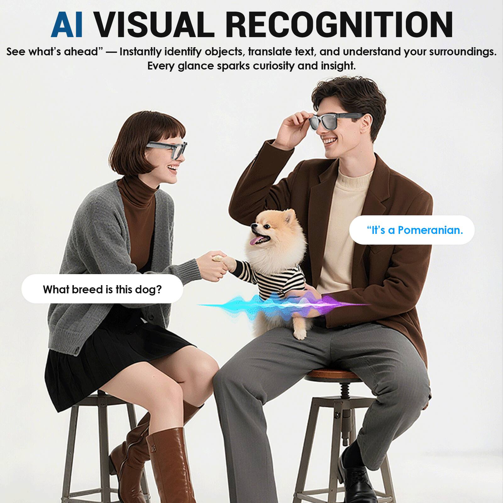 AI VISUAL RECOGNITION

See what's ahead" — Instantly identify objects, translate text, and understand your surroundings. Every glance sparks curiosity and insight.

"What breed is this dog?"

"It's a Pomeranian.