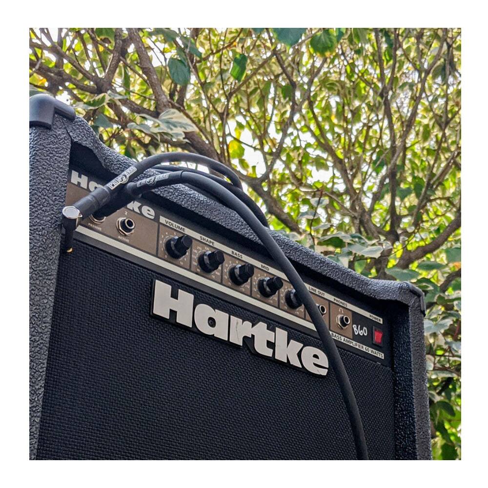 1600 H Hartke BASS AMP AMPLIFIER 860 S RATTS