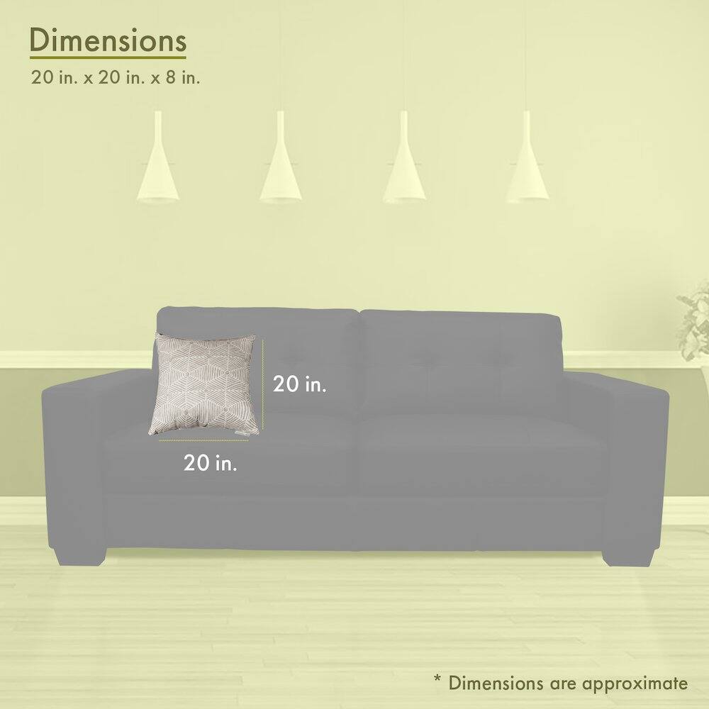 Dimensions  
20 in. x 20 in. x 8 in.  

20 in.  
20 in.  

*Dimensions are approximate
