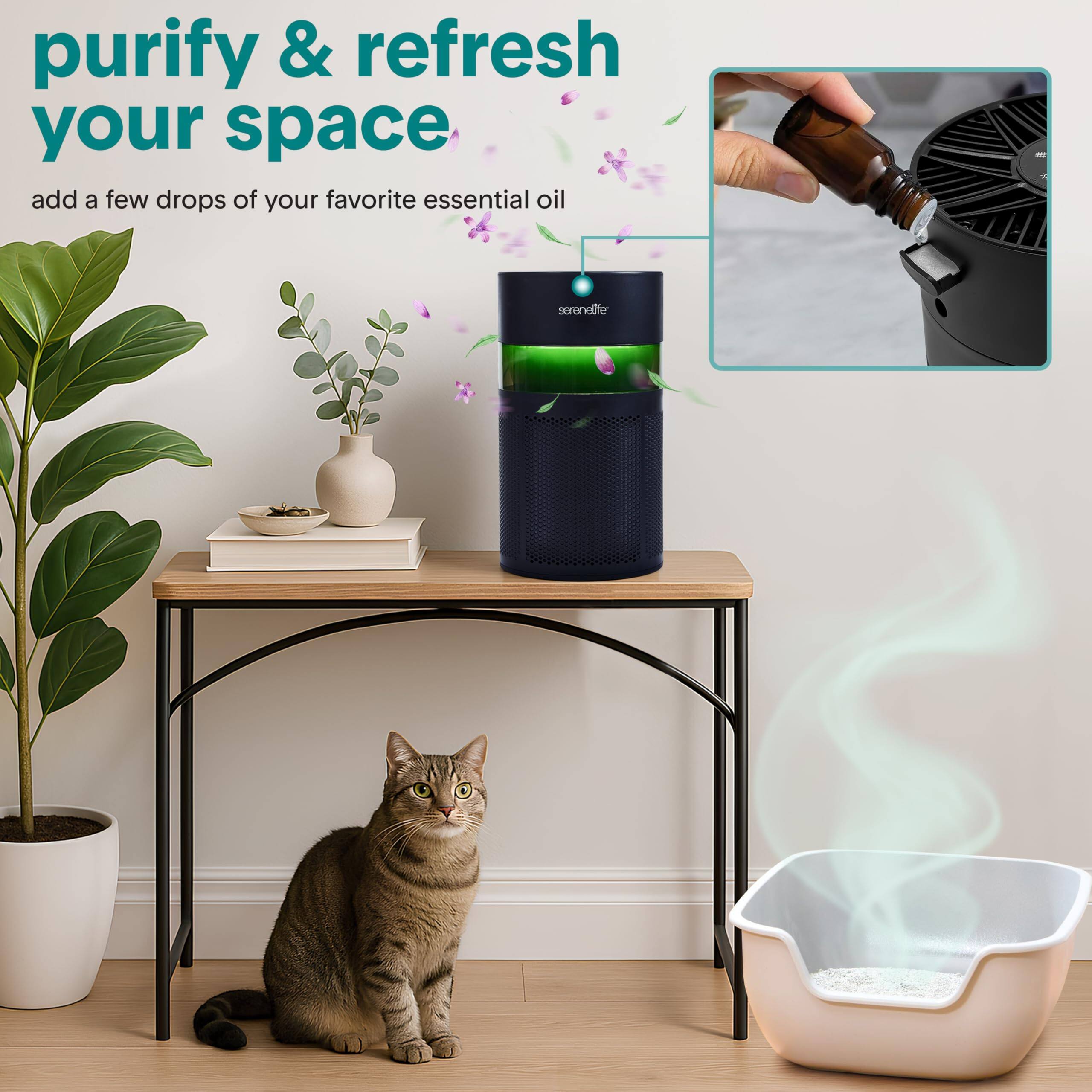 purify & refresh your space  
add a few drops of your favorite essential oil