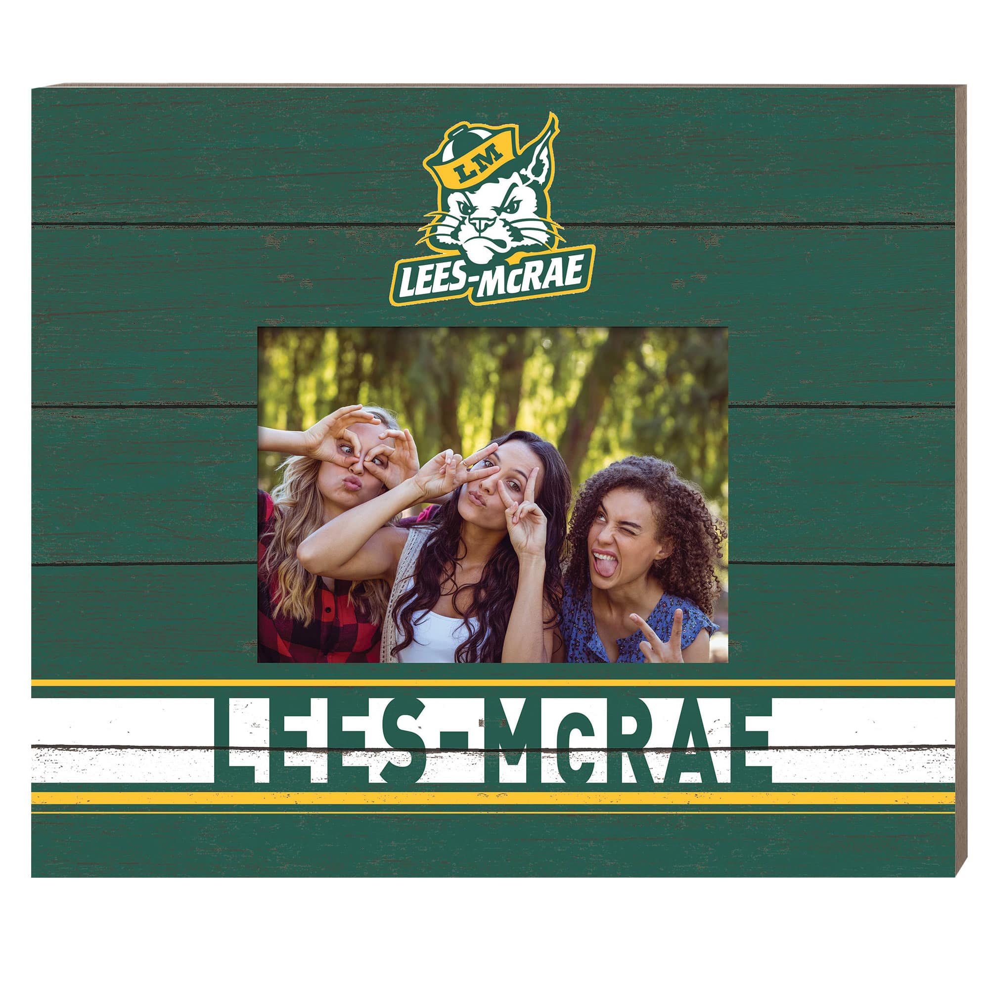 "Jardine - Lees-McRae Bobcats 11"" x 13"" Team Spirit Scholastic Picture Frame - Green" price history on PriceWatchPro