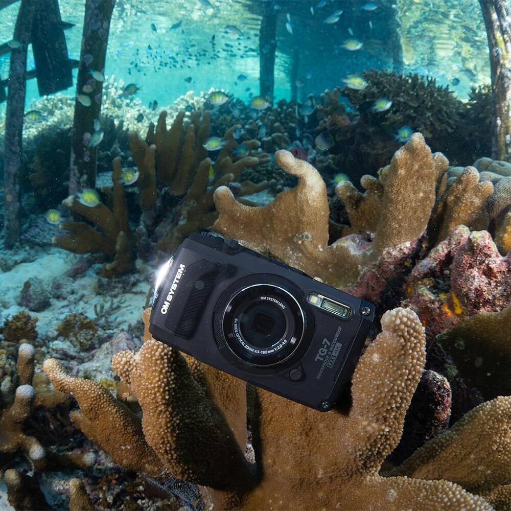 METEYA MO OM ON SISTEMAERS BOM OFTICAL 12e-49 ZOOM 43 1 TG-7 WATERPROOF JELIN 4 [K S SHOCKPRO