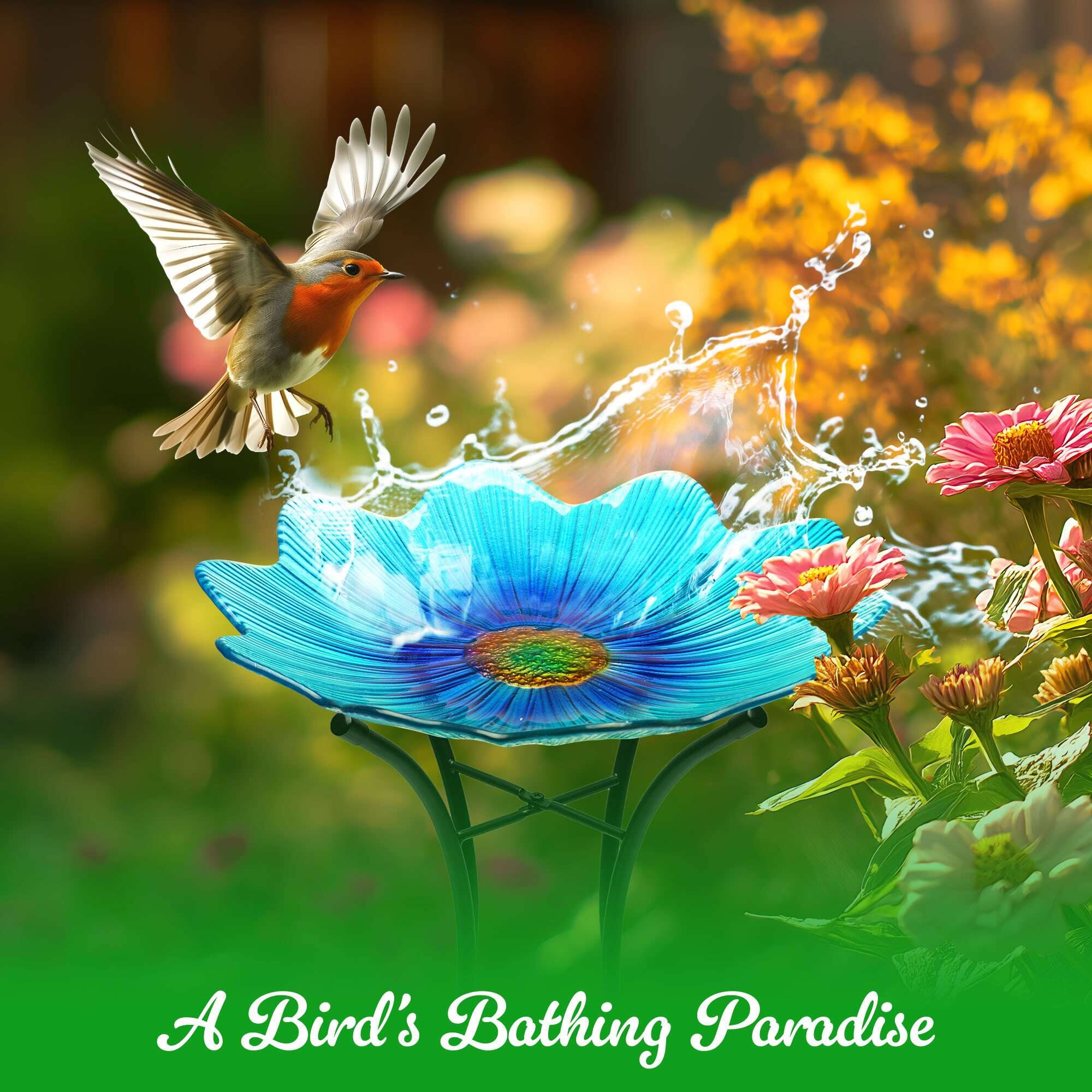 A Bird's Bathing Paradise