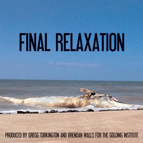 The Golding Institute - Final Relaxation   - COMPACT DISCS [CD] price history on PriceWatchPro