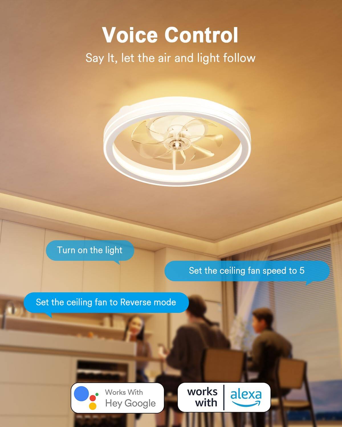 Voice Control  
Say It, let the air and light follow  
Turn on the light  
Set the ceiling fan speed to 5  
Set the ceiling fan to Reverse mode  
Works With Hey Google  
works with alexa