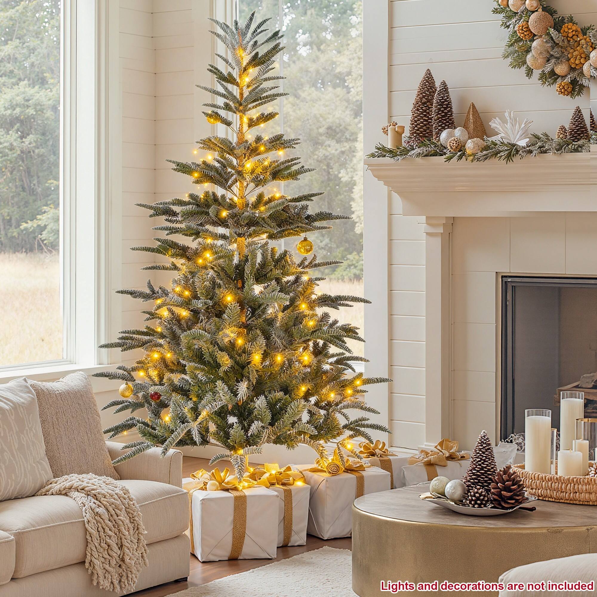 Lights and decorations are not included