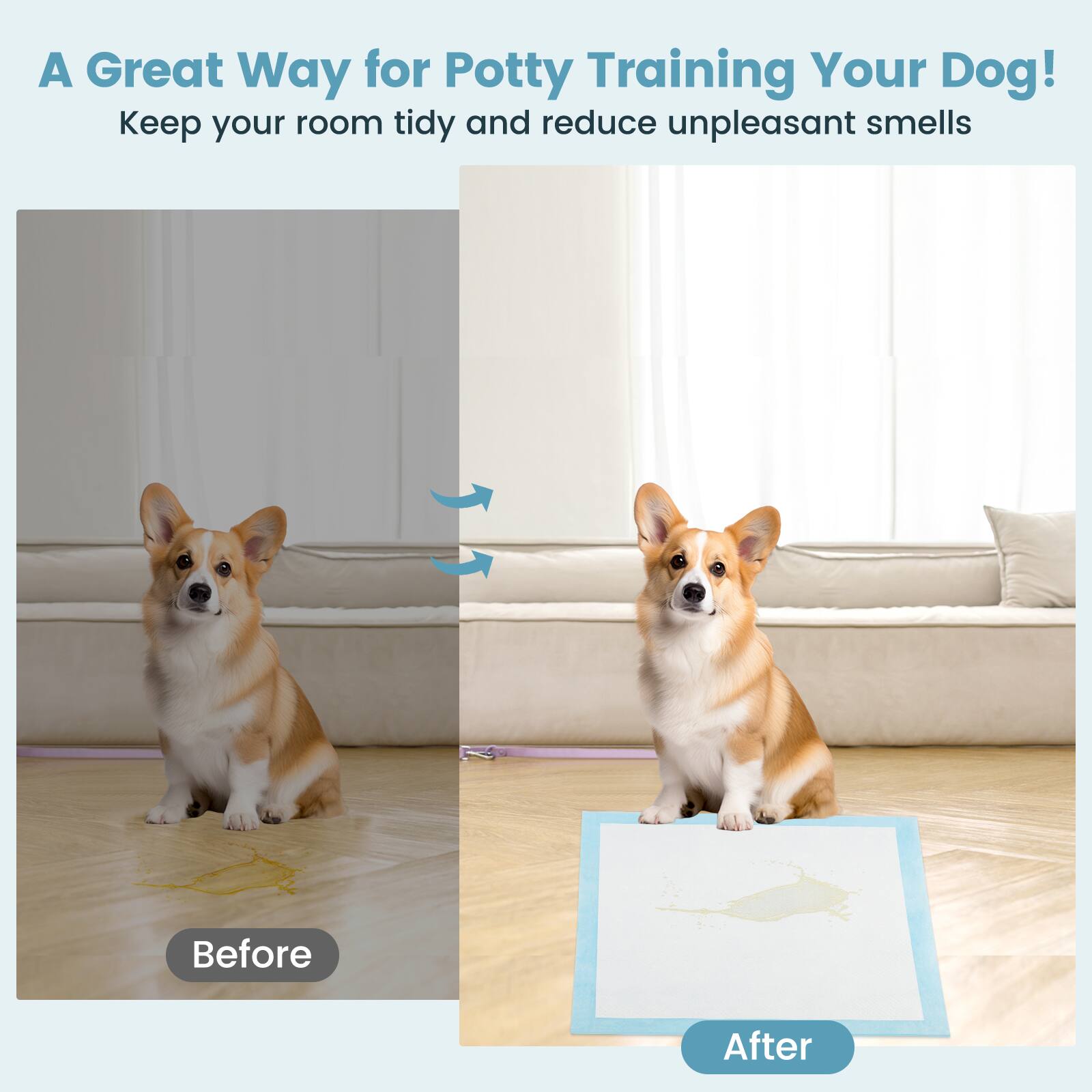 A Great Way for Potty Training Your Dog!  
Keep your room tidy and reduce unpleasant smells  

Before  
After