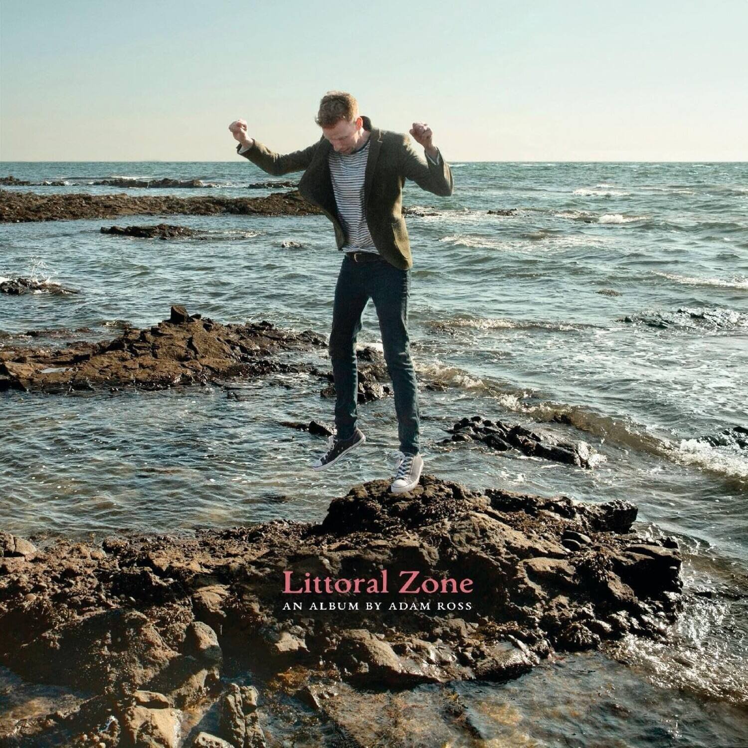 Adam Ross - Littoral Zone   - VINYL LP price history on PriceWatchPro