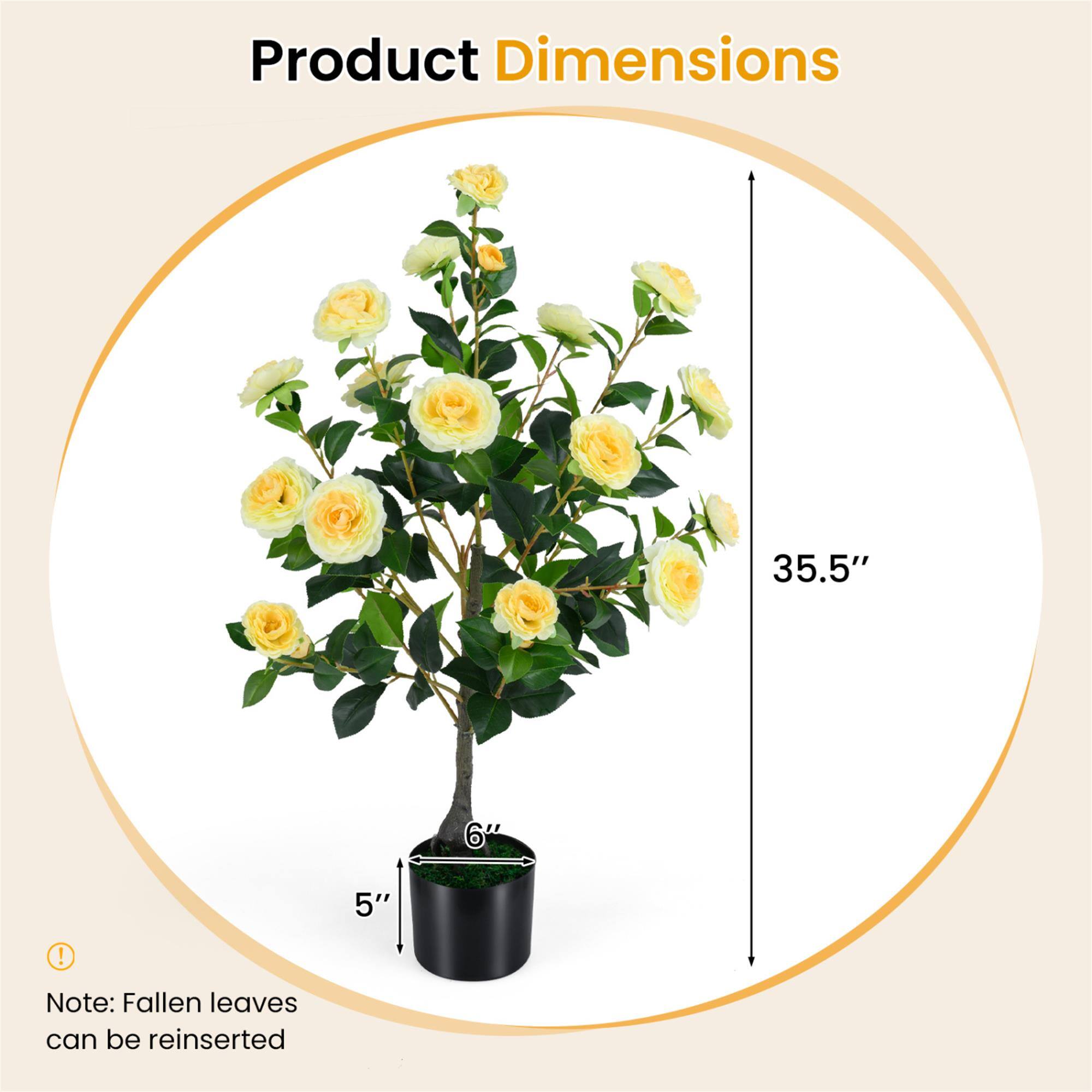 Product Dimensions
35.5"
6"
5"

Note: Fallen leaves can be reinserted