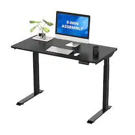 FlexiSpot - 48"W Electric Height Adjustable Standing Desk, with Programmable Controls & Anti-Collision - Black