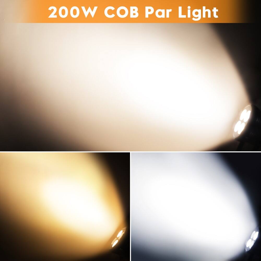 200W COB Par Light