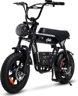Isinwheel - R6 Mini Electric Bike(1000W Motor , 20MPH Top Speed , 30Miles Range) - Black