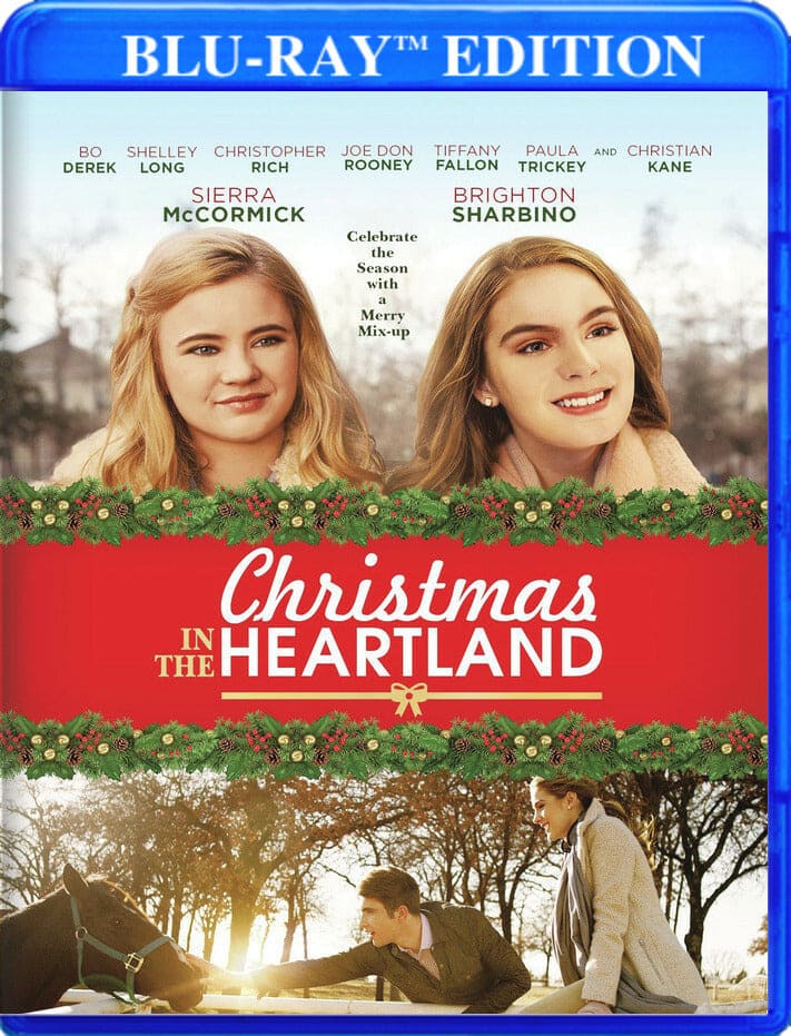 Christmas in the Heartland (MOD) (BluRay Movie) [Blu-ray] price history on PriceWatchPro