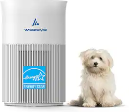 Wozoyo - PA1 Air Purifier for Bedroom, Home & Office, Covers Up to 300 ft², 3-in-1 HEPA Filter, Aroma Pad, Smoke & Dust Filter - White