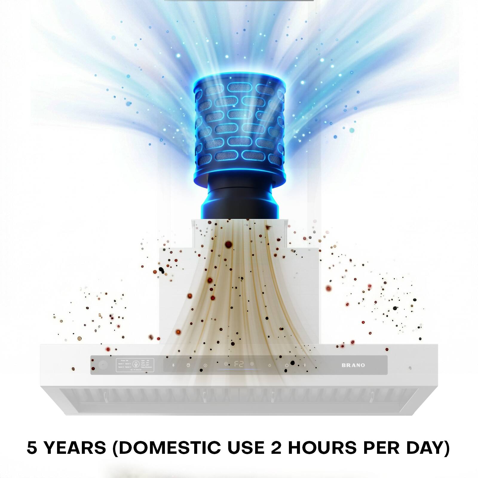 5 YEARS (DOMESTIC USE 2 HOURS PER DAY)