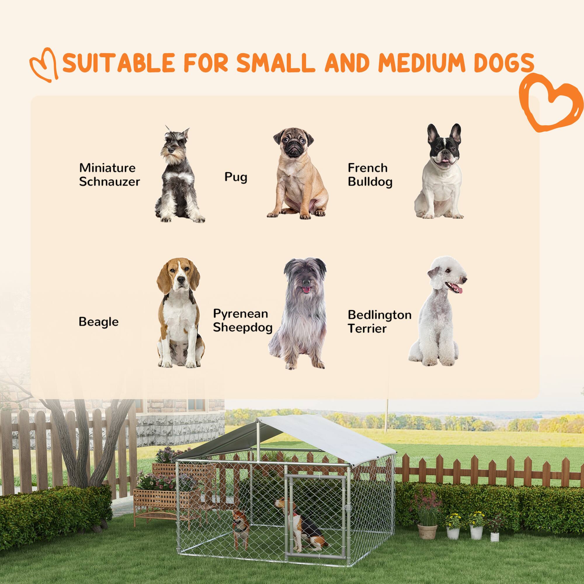 SUITABLE FOR SMALL AND MEDIUM DOGS

- Miniature Schnauzer
- Pug
- French Bulldog
- Beagle
- Pyrenean Sheepdog
- Bedlington Terrier