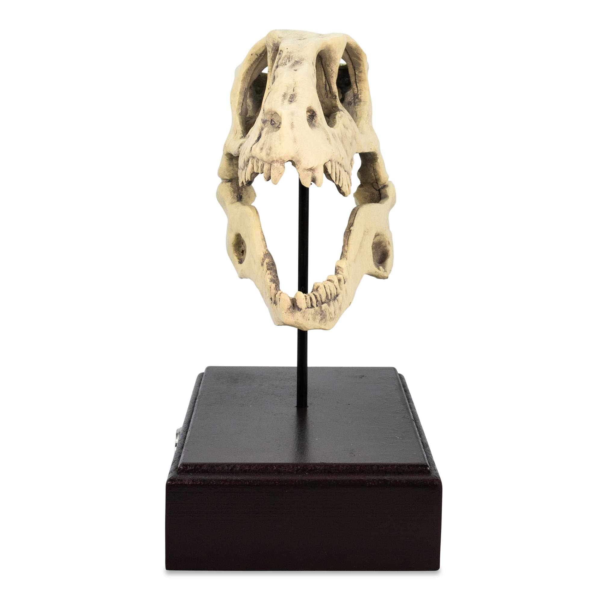 Alt View 10. Surreal Entertainment - Jurassic World Velociraptor Skull Paperweight Replica | 8 Inches Tall - White.