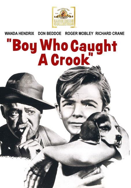 Boy Who Caught A Crook - DVD
