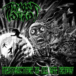 Almost Dead - Destruction Is All We Know - VINYL LP