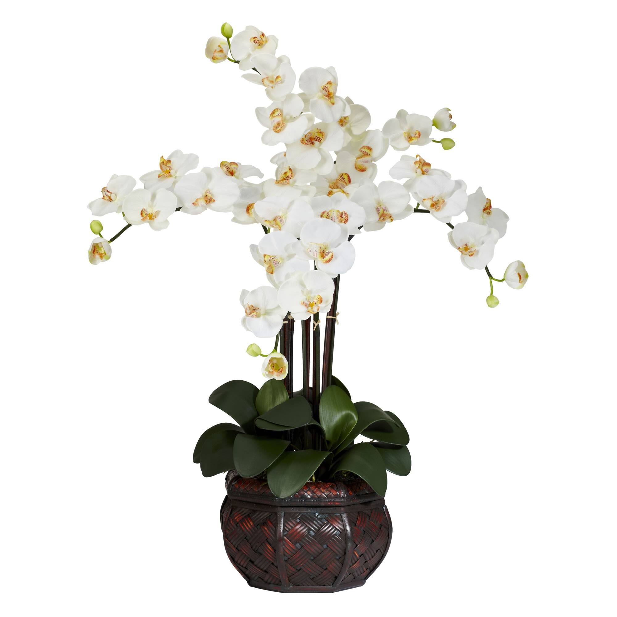 Front. BreeBe - 31" Phalaenopsis w/Decorative Vase Arrangement Cream - Cream.