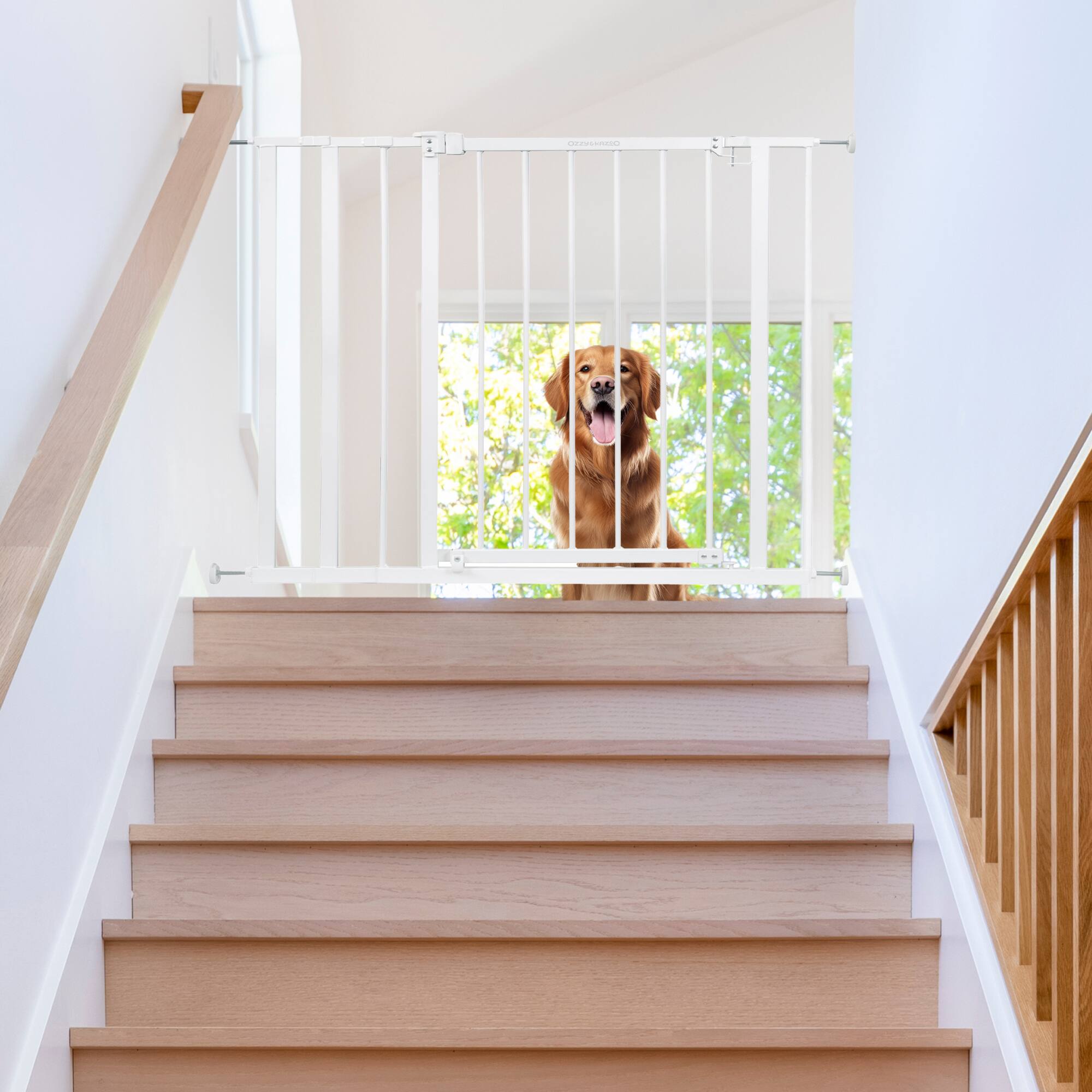 Alt View 3. Ingenuity - Ingenuity Ozzy & Kazoo 36” Tall Walk Through Dog Gate For Doorway or Stairway.