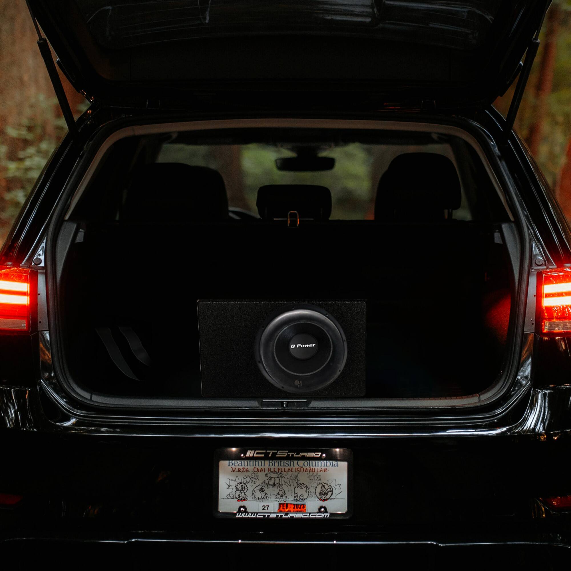 A beautiful bush in Columbia, Ecuador.  
www.etstlmbo.com