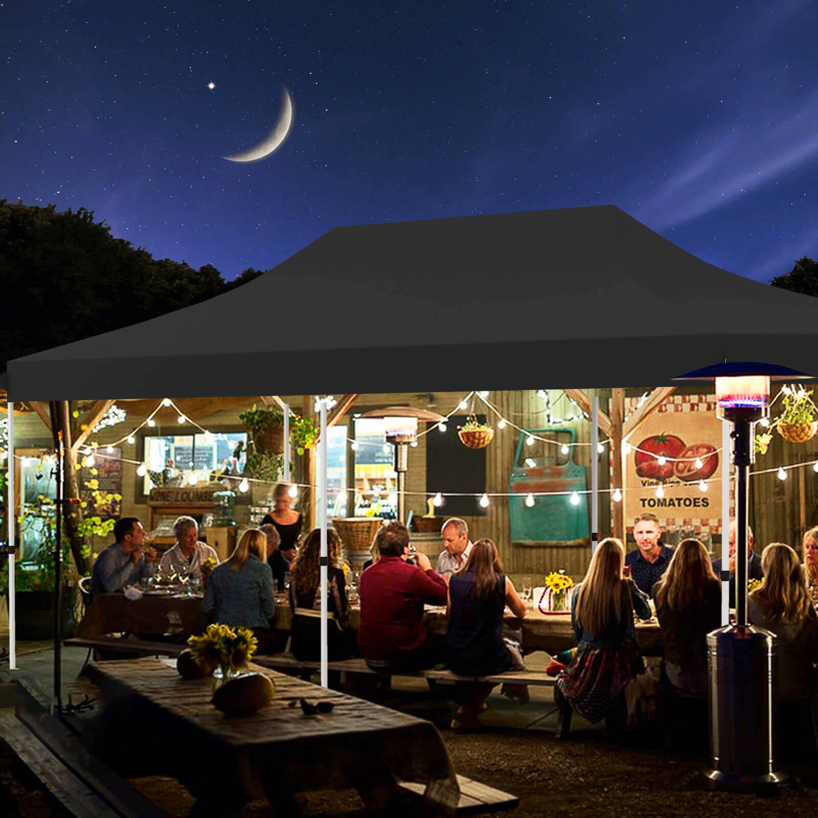 VISE LOUNGE, VIEA TOMATOES