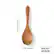 10.24 inches
2.76 inches
SALAD SPOON