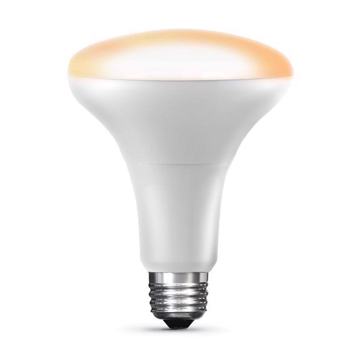Left. FEIT ELECTRIC - Feit Smart Home BR30 E26 (Medium) Smart-Enabled LED Bulb White 65 Watt Equivalence 1 pk.
