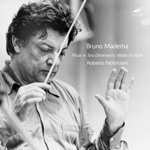 Roberto Fabbriciani - Music in 2 Dimensions: The Works with Flute   - COMPACT DISCS [CD] price history on PriceWatchPro