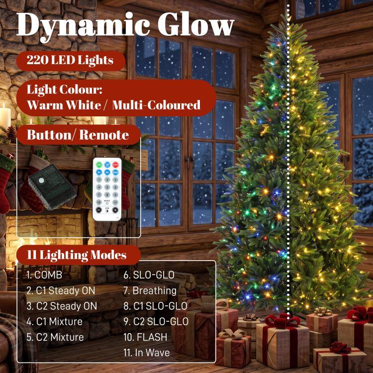 Dynamic Glow 220 LED Lights  
Light Colour: Warm White/Multi-Coloured  
Button/Remote  
11 Lighting Modes  
1. COMB  
2. C1 Steady ON  
3. C2 Steady ON  
4. C1 Mixture  
5. C2 Mixture  
6. SLO-GLO  
7. Breathing  
8. C1 SLO-GLO  
9. C2 SLO-GLO  
10. FLASH  
11. In Wave