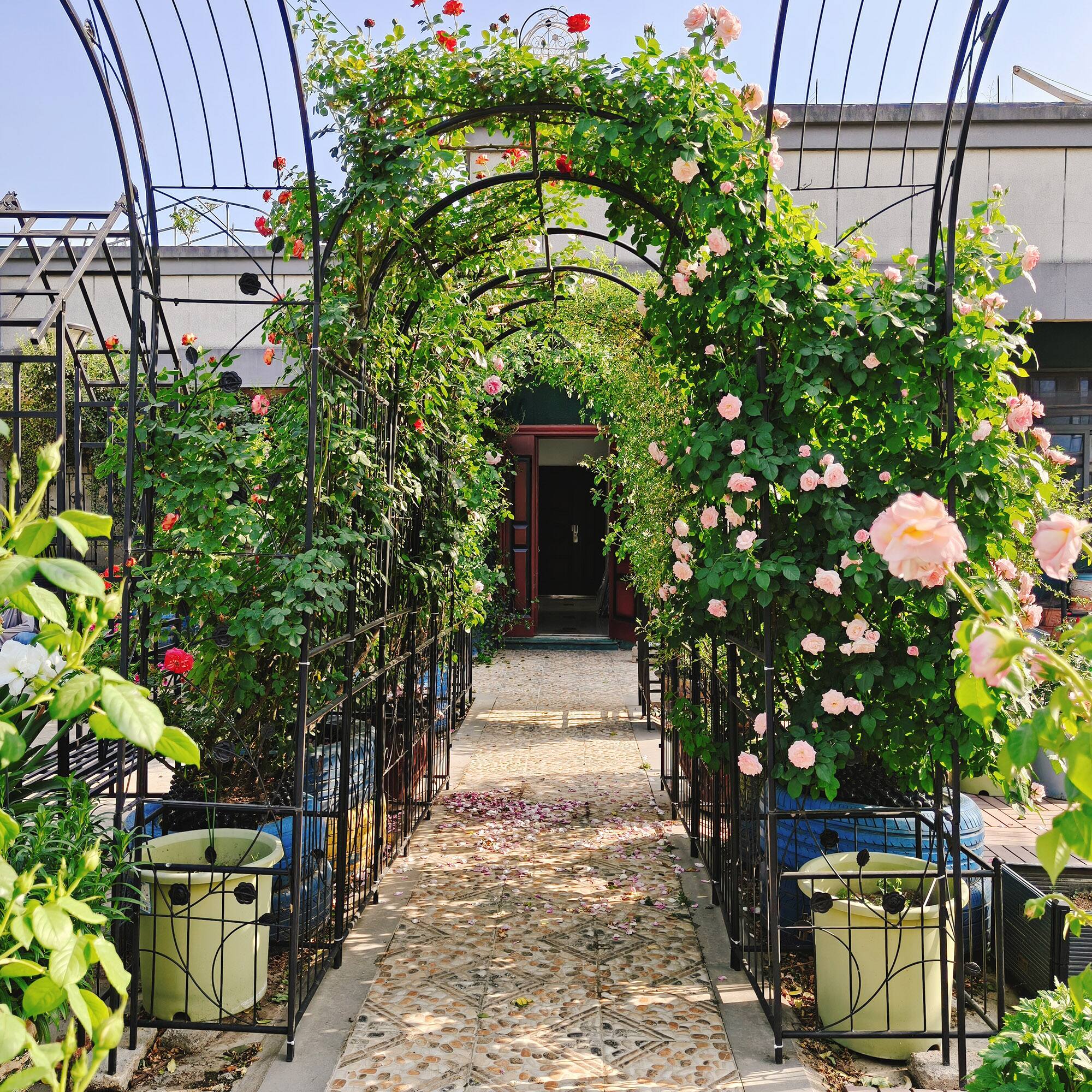 Alt View 5. Loheer - Metal Garden Arch with Built-In Plant Stands for Climbing Plants and Roses, Outdoor Trellis - Black.