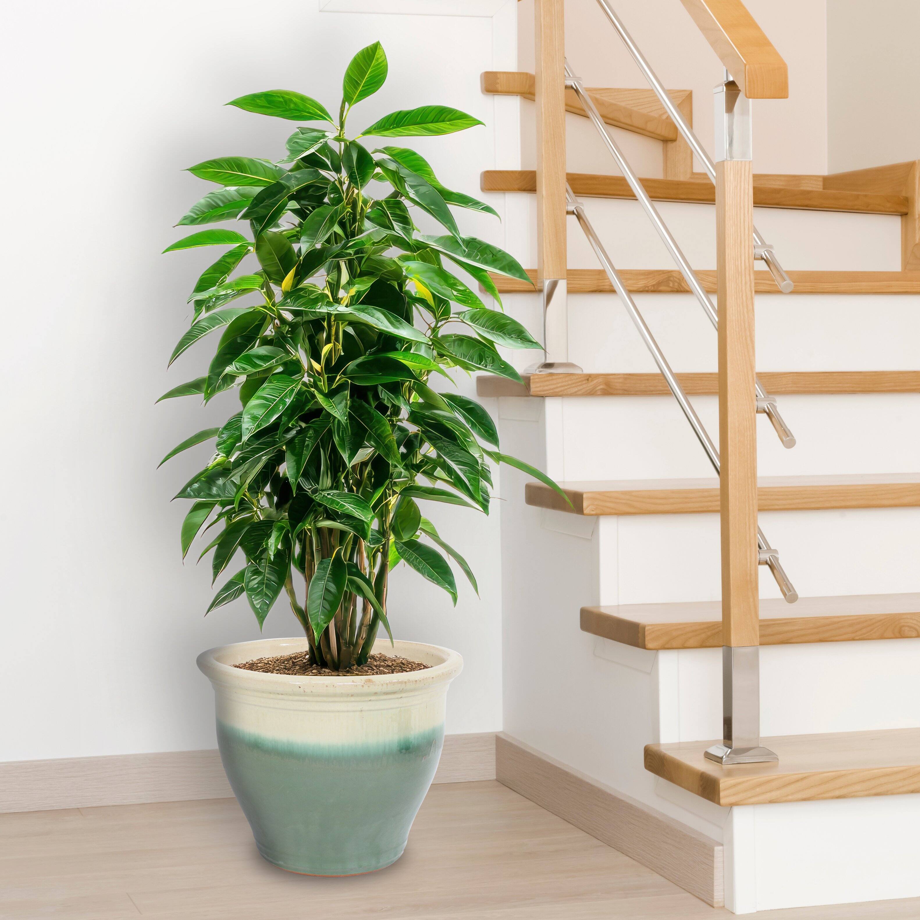 Alt View 8. Sunnydaze - 18.5 in Studio High-Fired Glazed Ceramic Planter - Seafoam.