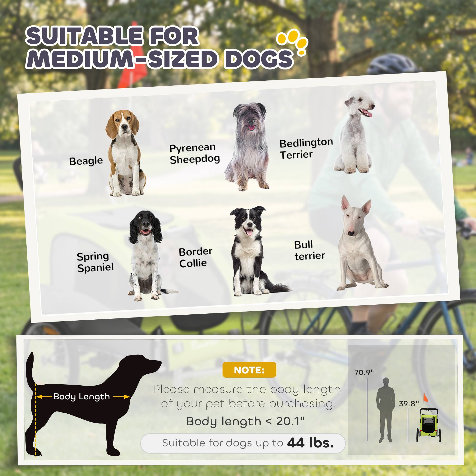 SUITABLE FOR MEDIUM-SIZED DOGS

Beagle
Pyrenean Sheepdog
Bedlington Terrier
Spring Spaniel
Border Collie
Bull Terrier

NOTE: Please measure the body length of your pet before purchasing. Body length < 20.1" Suitable for dogs up to 44 lbs.