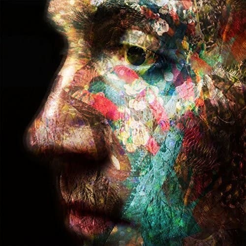 Daniel O'Sullivan - Veld  - COMPACT DISCS