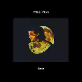 Wild Pink - ILYSM - VINYL LP