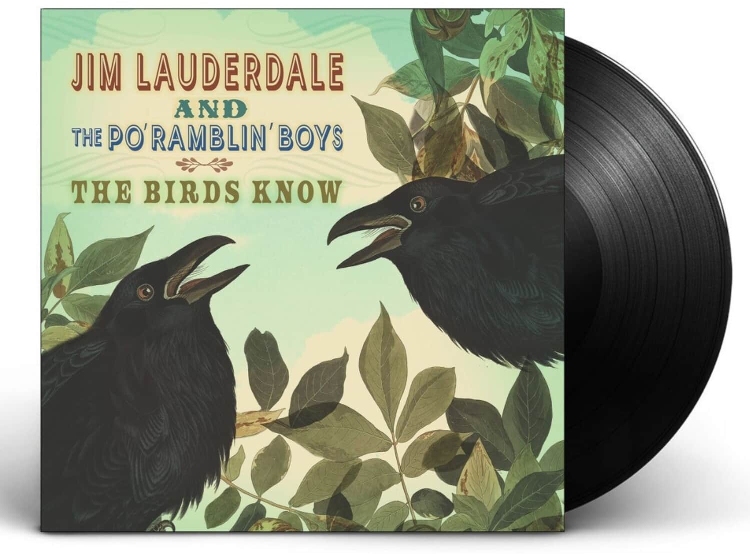Jim Lauderdale - The Birds Know   - VINYL LP price history on PriceWatchPro