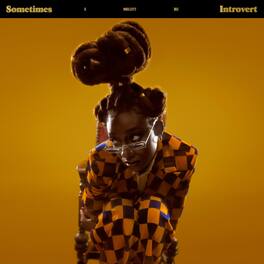 Little Simz - Sometimes I Might Be Introvert - VINYL LP