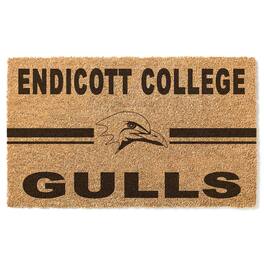 Jardine - Endicott College 18" x 30" Team Logo Doormat - Brown
