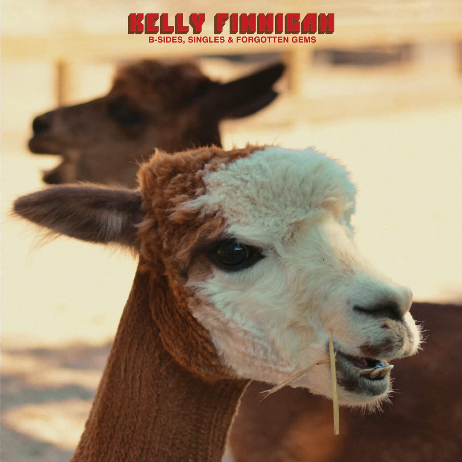 Kelly Finnigan - B-Sides, Singles & Forgotten Gems - Red   - VINYL LP price history on PriceWatchPro