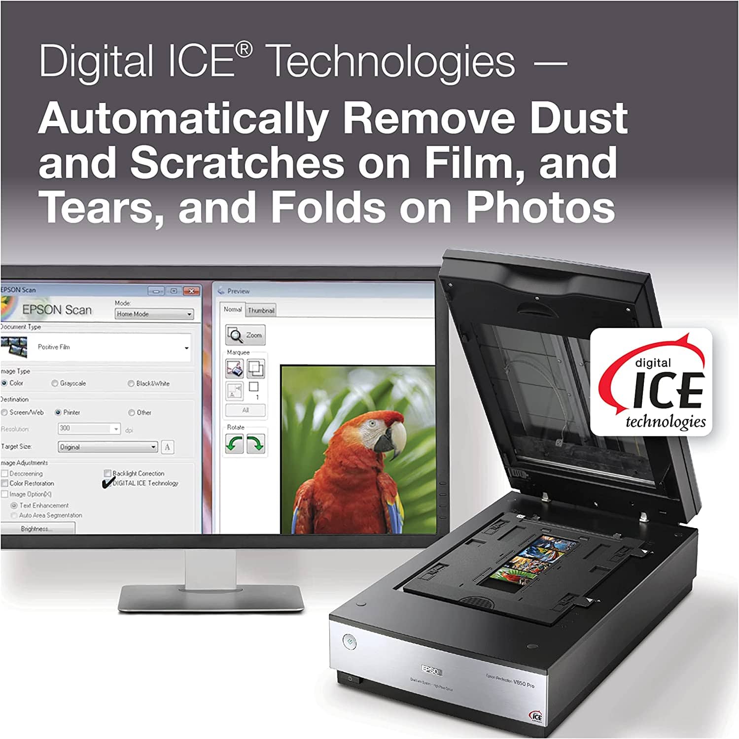 Digital ICE Technologies - Automatically Remove Dust and Scratches on Film, and Tears, and Folds on Photos. Epson Scan Mode - Home Mode, Preview, Normal, Thumbnail, Document Type, Pocket, Target Size, Destination Screen/Web, Pinterest, Resolution 300 DPI, Color Profile, Sestination Screen/Web, Pinterest, Resolution 300 DPI, Color Profile, Sestination Screen/Web, Pinterest, Resolution 300 DPI, Color Profile, Sestination Screen/Web, Pinterest, Resolution 300 DPI, Color Profile, Sestination Screen/Web, Pinterest, Resolution 300 DPI, Color Profile, Sestination Screen/Web, Pinterest, Resolution 300 DPI, Color Profile, Sestination Screen/Web, Pinterest, Resolution 300 DPI, Color Profile, Sestination Screen/Web, Pinterest, Resolution 300 DPI, Color Profile, Sestination Screen/Web, Pinterest, Resolution 300 DPI, Color Profile, Sestination Screen/Web, Pinterest, Resolution 300 DPI, Color Profile, Sestination Screen/Web, Pinterest, Resolution 300 DPI, Color Profile, Sestination Screen/Web, Pinterest, Resolution 300 DPI, Color Profile, Sestination Screen/Web, Pinterest, Resolution 300 DPI, Color Profile, Sestination Screen/Web, Pinterest, Resolution 300 DPI, Color Profile, Sestination Screen/Web, Pinterest, Resolution 300 DPI, Color Profile, Sestination Screen/Web, Pinterest, Resolution 300 DPI, Color Profile, Sestination Screen/Web, Pinterest, Resolution 300 DPI, Color Profile, Sestination Screen/Web, Pinterest, Resolution 300 DPI, Color Profile, Sestination Screen/Web, Pinterest, Resolution 300 DPI, Color Profile, Sestination Screen/Web, Pinterest, Resolution 300 DPI,