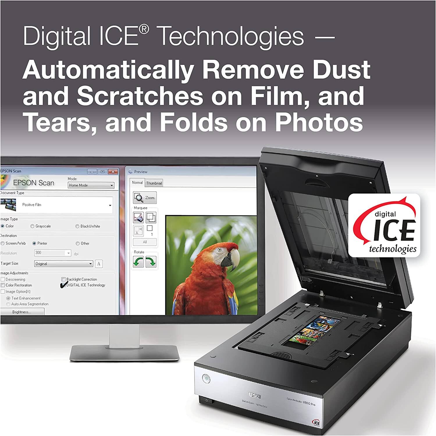 Digital ICE Technologies - Automatically Remove Dust and Scratches on Film, and Tears, and Folds on Photos. Epson Scan Mode - Home Mode, Preview, Normal, Thumbnail, Document Type, Pocket, Target Size, Destination Screen/Web, Pinterest, Resolution 300 DPI, Color Profile, Sestination Screen/Web, Pinterest, Resolution 300 DPI, Color Profile, Sestination Screen/Web, Pinterest, Resolution 300 DPI, Color Profile, Sestination Screen/Web, Pinterest, Resolution 300 DPI, Color Profile, Sestination Screen/Web, Pinterest, Resolution 300 DPI, Color Profile, Sestination Screen/Web, Pinterest, Resolution 300 DPI, Color Profile, Sestination Screen/Web, Pinterest, Resolution 300 DPI, Color Profile, Sestination Screen/Web, Pinterest, Resolution 300 DPI, Color Profile, Sestination Screen/Web, Pinterest, Resolution 300 DPI, Color Profile, Sestination Screen/Web, Pinterest, Resolution 300 DPI, Color Profile, Sestination Screen/Web, Pinterest, Resolution 300 DPI, Color Profile, Sestination Screen/Web, Pinterest, Resolution 300 DPI, Color Profile, Sestination Screen/Web, Pinterest, Resolution 300 DPI, Color Profile, Sestination Screen/Web, Pinterest, Resolution 300 DPI, Color Profile, Sestination Screen/Web, Pinterest, Resolution 300 DPI, Color Profile, Sestination Screen/Web, Pinterest, Resolution 300 DPI, Color Profile, Sestination Screen/Web, Pinterest, Resolution 300 DPI, Color Profile, Sestination Screen/Web, Pinterest, Resolution 300 DPI, Color Profile, Sestination Screen/Web, Pinterest, Resolution 300 DPI, Color Profile, Sestination Screen/Web, Pinterest, Resolution 300 DPI,