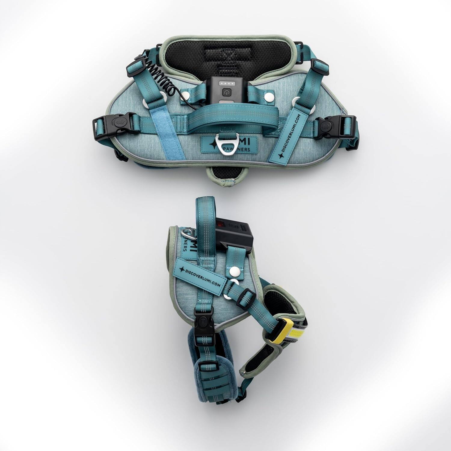 MI PAW NERS  
DISCOVERLUMI.COM  

MI PAW NERS  
DISCOVERLUMI.COM