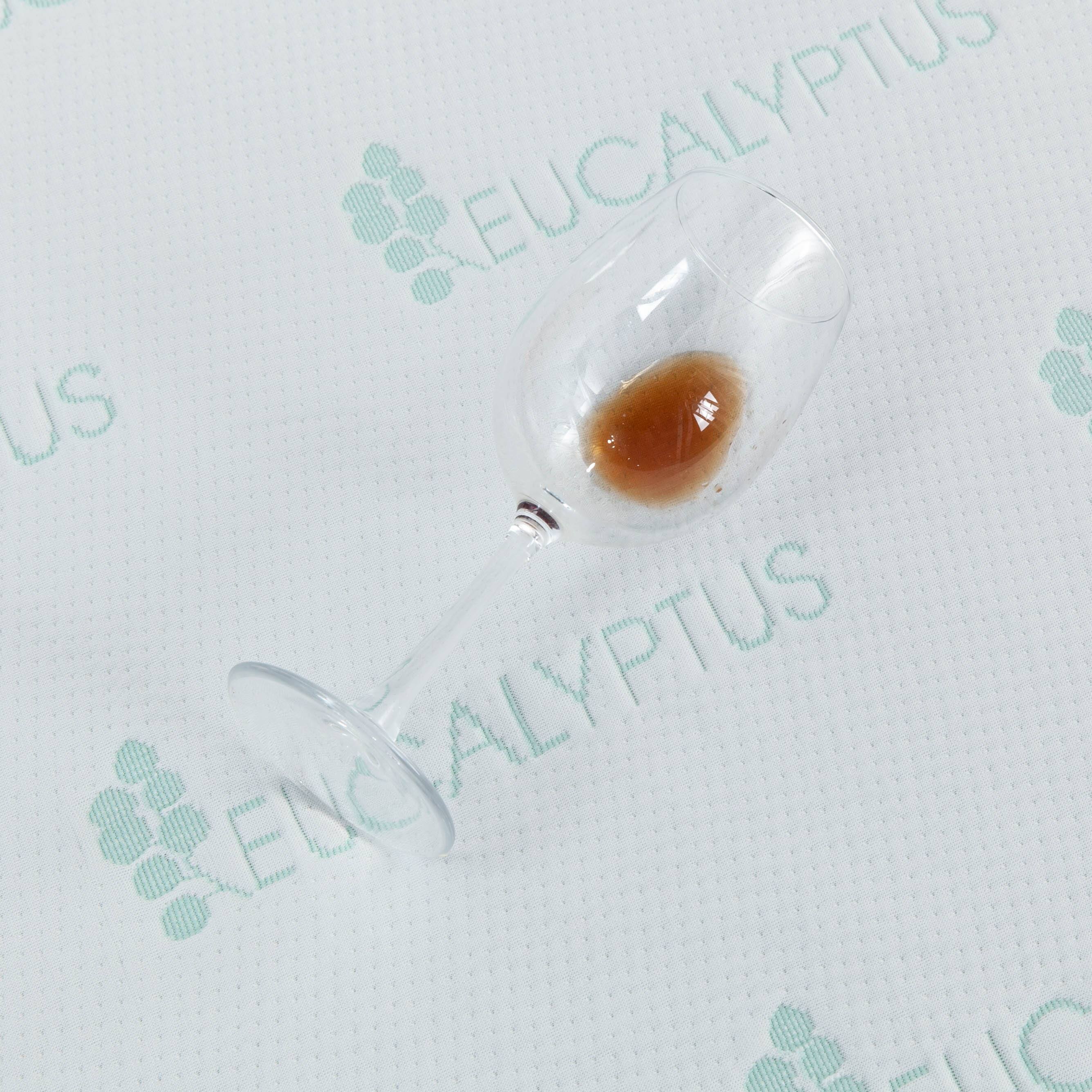 EUCALYPTUS