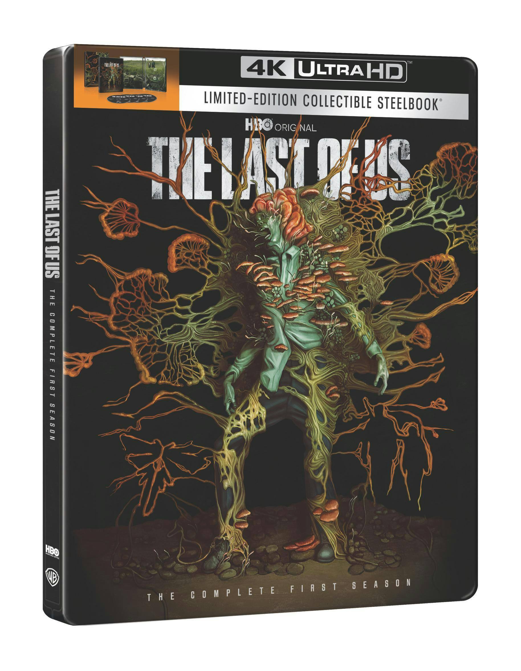 Angle. The Last of Us: The Complete First Season (Steelbook)   - 4K Blu-Ray.