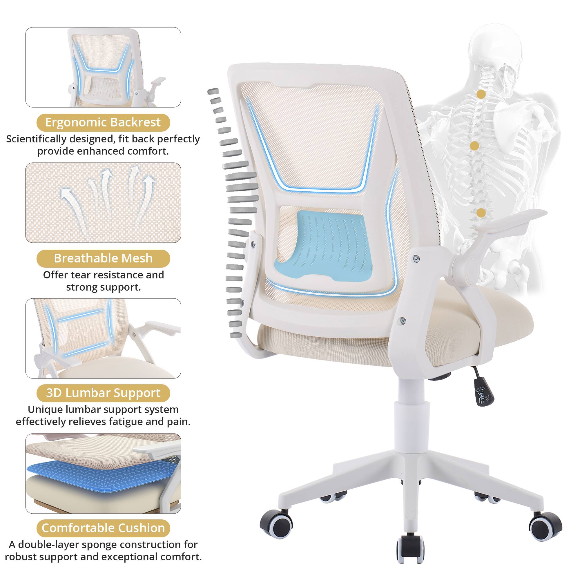 Ergonomic Backrest  
Scientifically designed, fit back perfectly provide enhanced comfort.

Breathable Mesh  
Offer tear resistance and strong support.

3D Lumbar Support  
Unique lumbar support system effectively relieves fatigue and pain.

Comfortable Cushion  
A double-layer sponge construction for robust support and exceptional comfort.