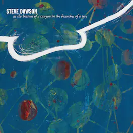 Steve Dawson - At The Bottom Of A Canyon In The Branches Of Tree - VINYL LP